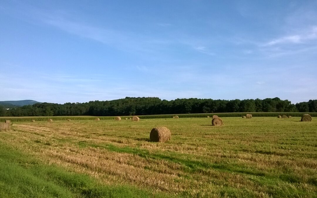 331 tonnes de pesticides !