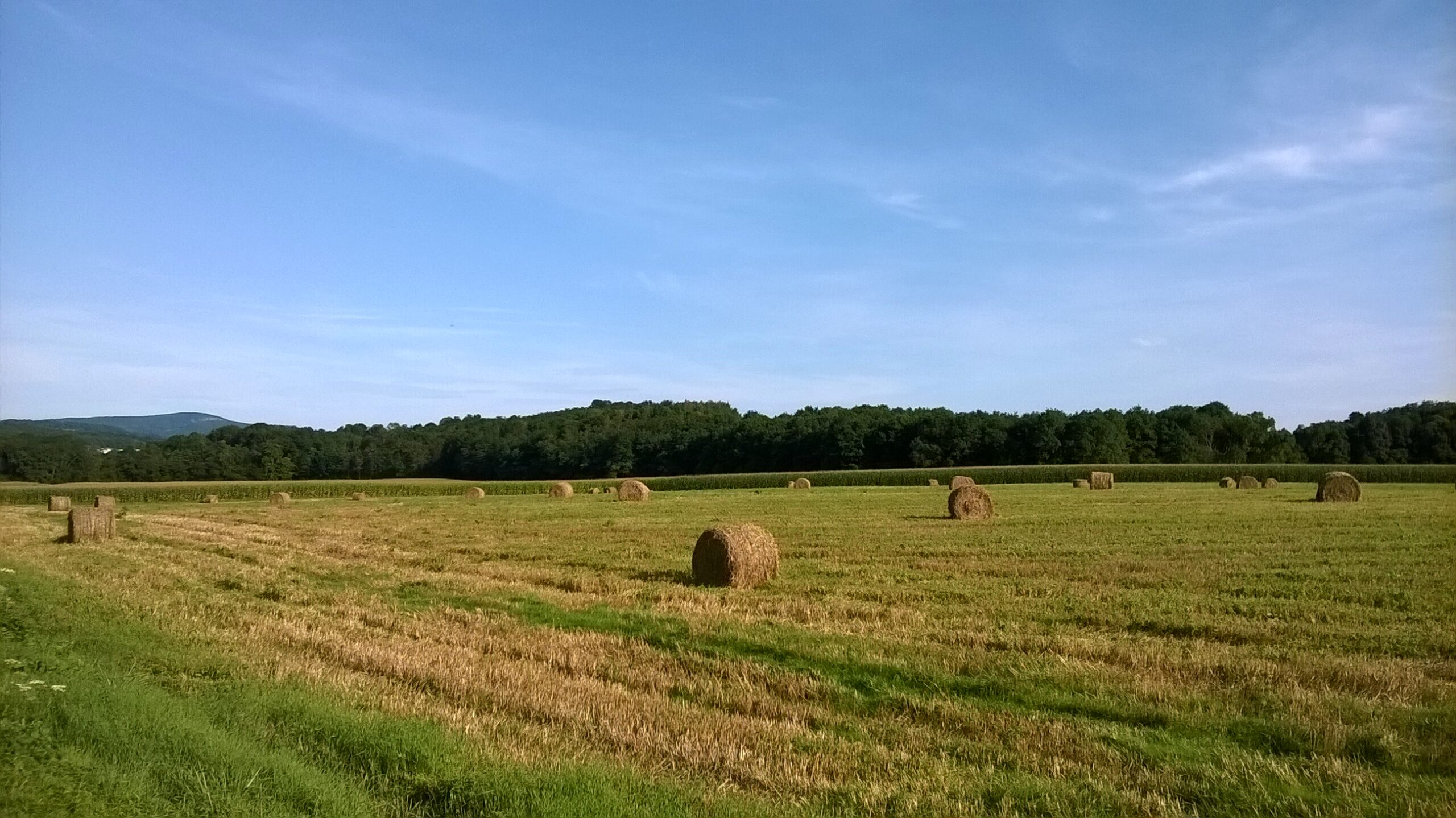 Paysage Ain - Cédric STANGHELLINI-DR