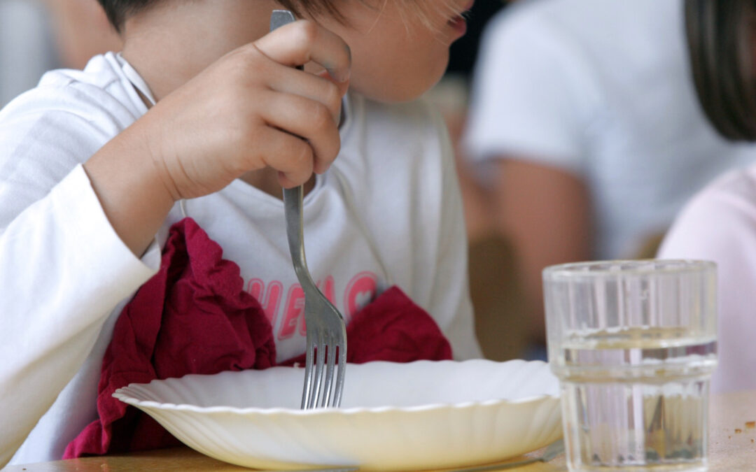 Trop de viande importée dans nos cantines ?