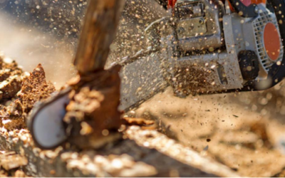 Les taxes américaines n'ont-elles pas plombé la filière canadienne du bois, comme l'affirme Macron ?