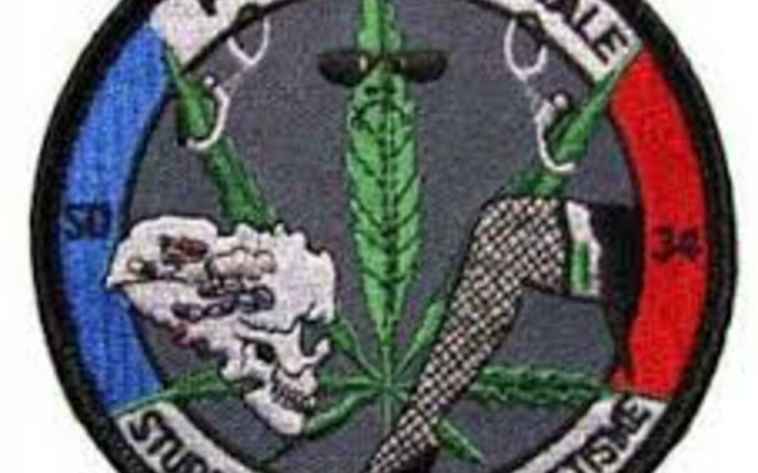 Félin, serpent ou... sous-marin nazi : policiers et militaires peuvent-il choisir librement leurs écussons ?