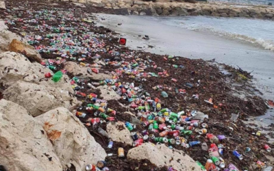 Une plage recouverte de canettes à Marseille : retour sur une photo intrigante