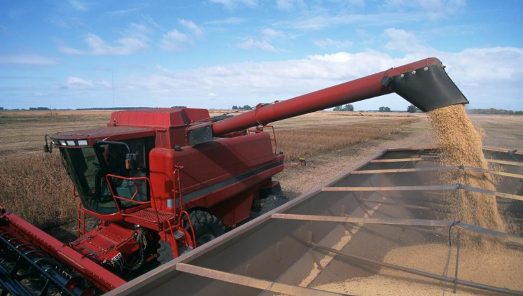 La France importe-t-elle beaucoup de soja génétiquement modifié ?