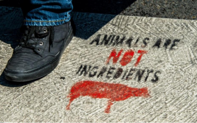 Pourquoi un rapport parlementaire compare-t-il le terrorisme djihadiste avec le véganisme ?