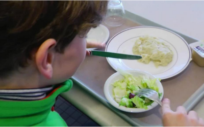 Un élève exclu de la cantine parce qu'il ne mange pas de viande : "De mémoire de juriste, c'est une première"