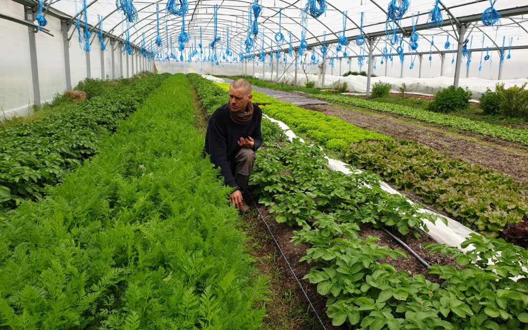 Colin, maraîcher en herbe