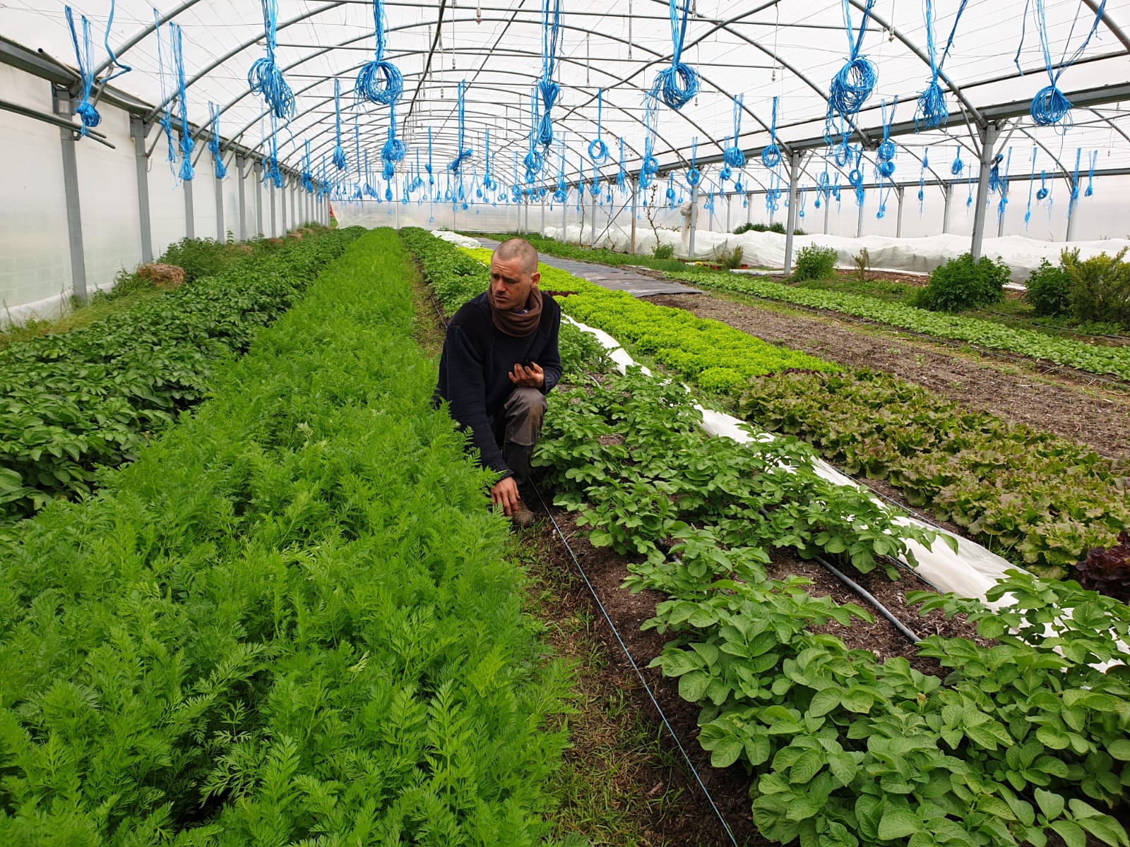 Claye Souilly 2 STANGHELLINI CEDRIC