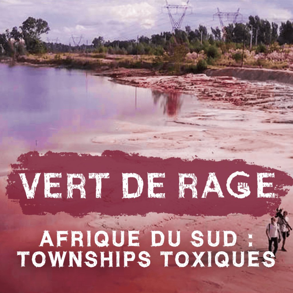 Vert de Rage - Afrique du Sud - Martin BOUDOT - PLTV